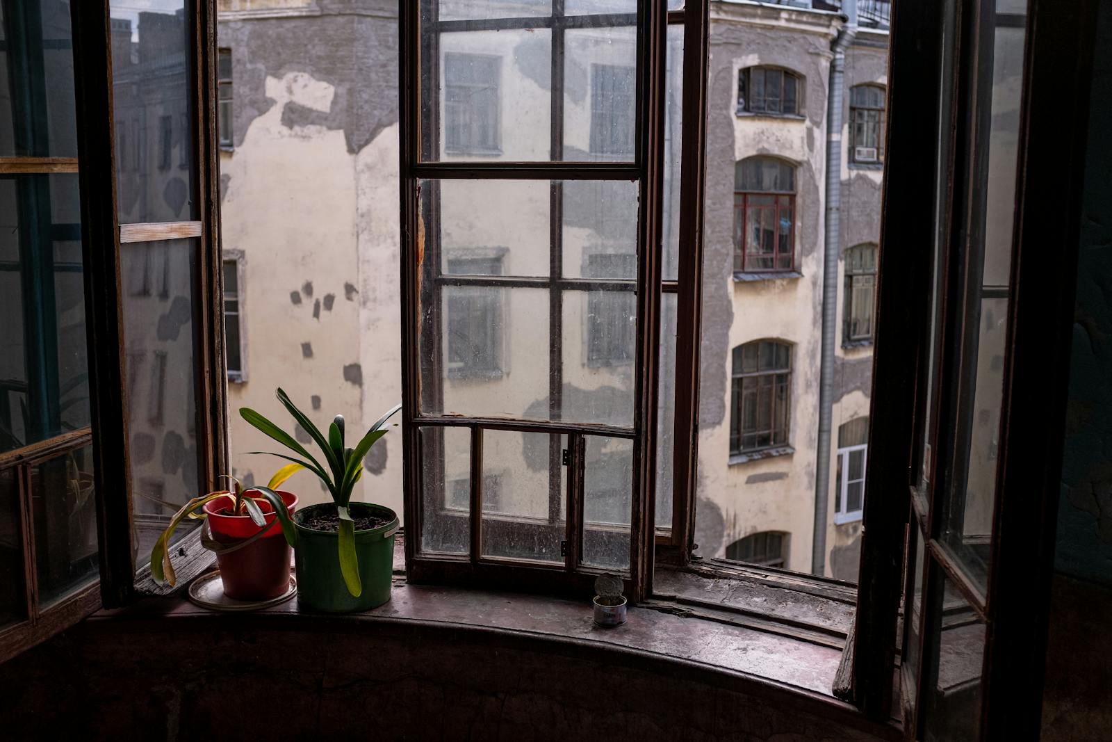 Alt Wiener Kastenfenster sanieren